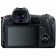 Цифровой фотоаппарат Canon EOS R Kit RF 24-105mm F4-7.1 IS STM
